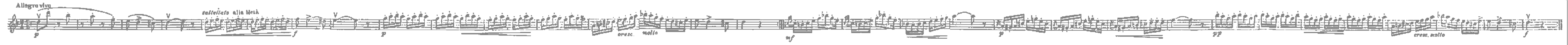 nimble_asset_csardasgray-01